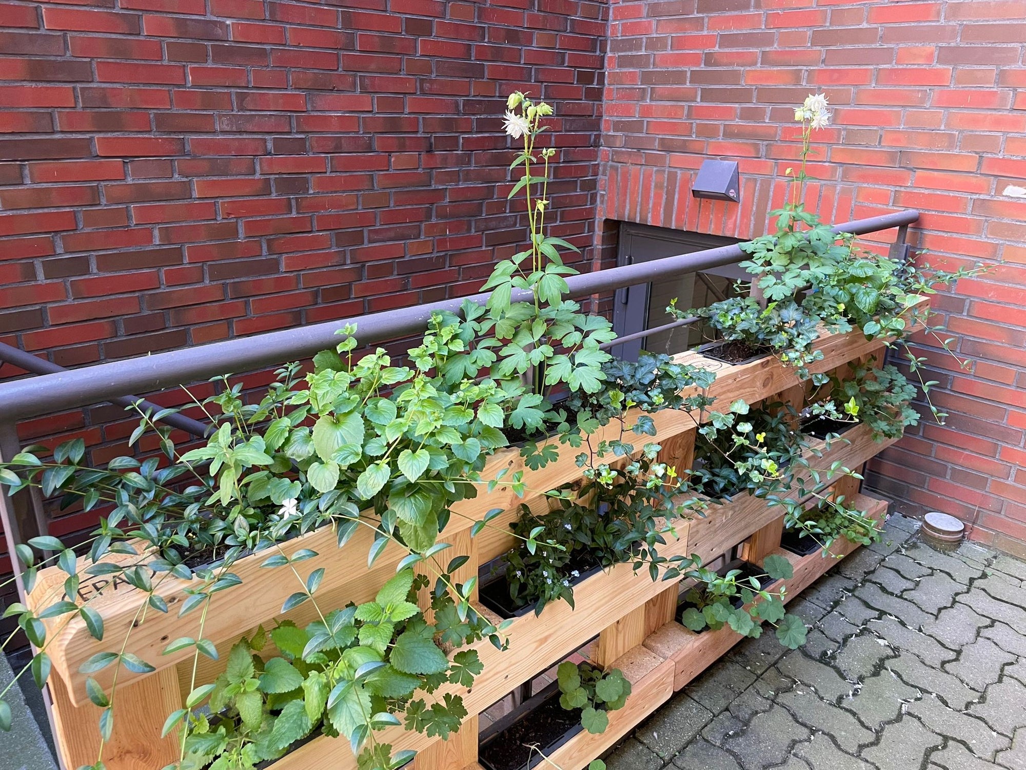 Vertikalgarten: Viel Grün auf engem Raum