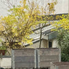 Der kleine Stadtgarten - plus (L/3)
