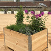 Naturnahes Gärtnern in XL - plus (XL/3)