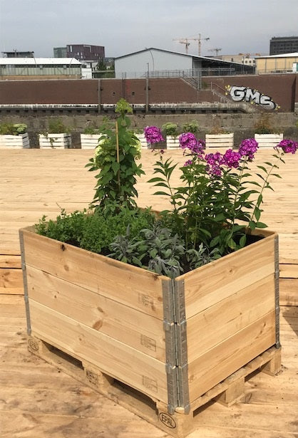 Naturnahes Gärtnern in XL - plus (XL/3)